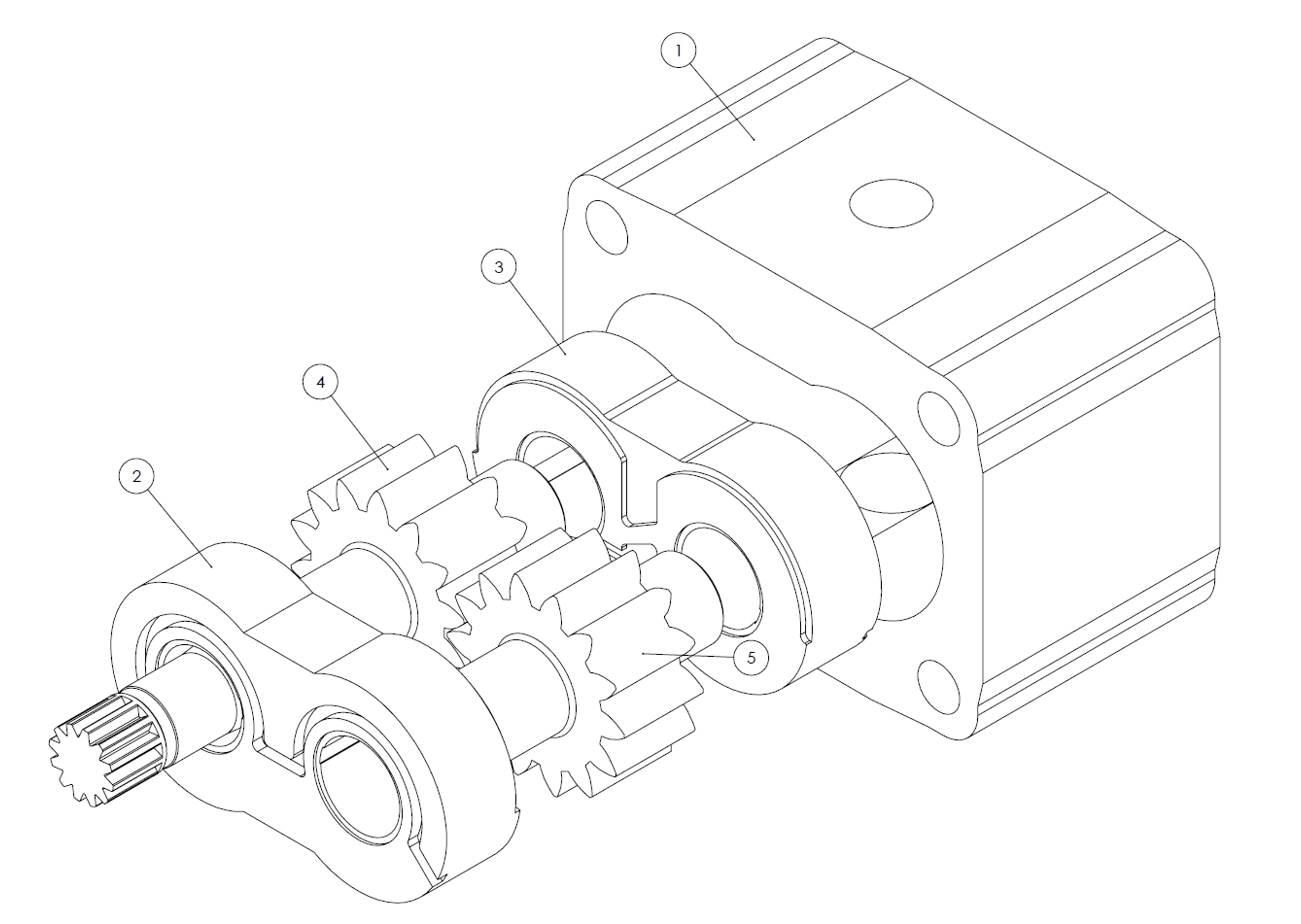 External gear machine
